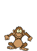 monkey jumping